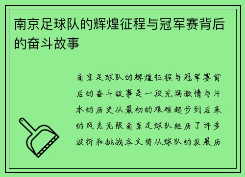 南京足球队的辉煌征程与冠军赛背后的奋斗故事