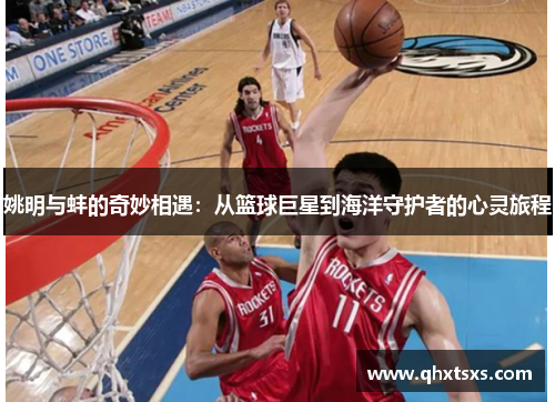 姚明与蚌的奇妙相遇：从篮球巨星到海洋守护者的心灵旅程